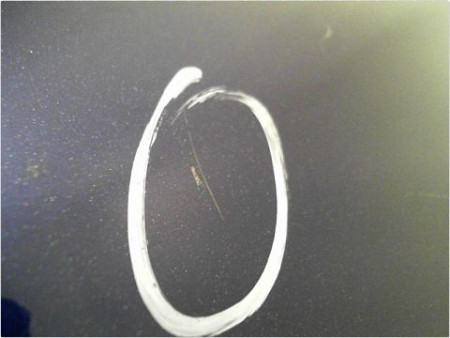 PORTE ARRIERE GAUCHE PEUGEOT 307 2005-2007