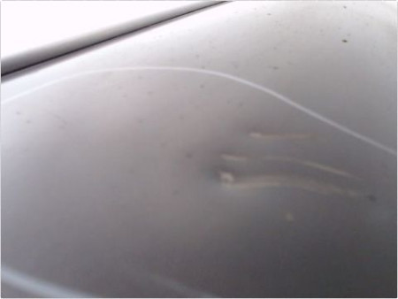 PORTE AVANT GAUCHE MERCEDES CLASSE A 01 -04