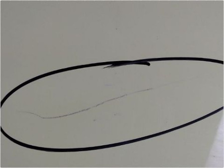 PORTE ARRIERE DROIT FIAT PANDA II 03-12