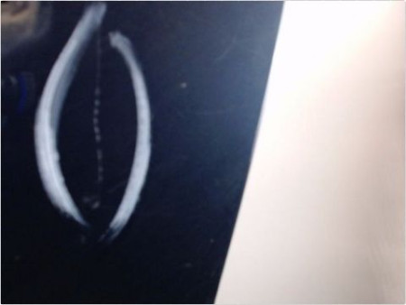 PORTE ARRIERE GAUCHE OPEL CORSA (D) 06-10