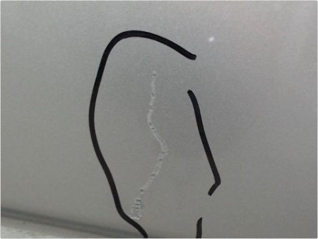 PORTE ARRIERE GAUCHE OPEL ZAFIRA 99-05