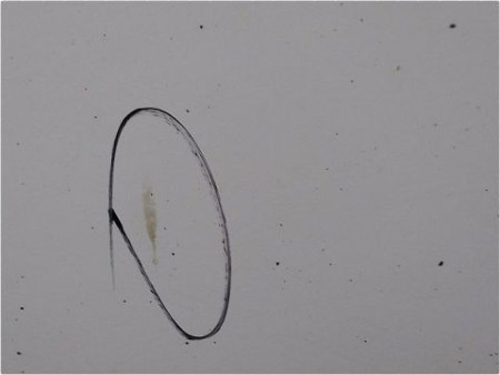 PORTE AVANT GAUCHE FIAT GRANDE PUNTO III 05-13