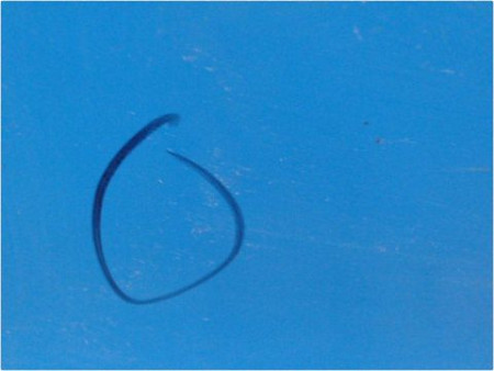 PORTE ARRIERE GAUCHE RENAULT CLIO