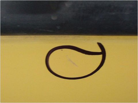 PORTE AVANT DROIT RENAULT KANGOO