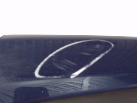 PORTE AVANT GAUCHE RENAULT MODUS