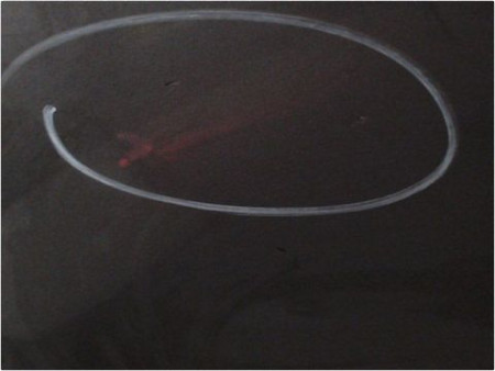 PORTE AVANT GAUCHE HYUNDAI SANTA FE 00-06