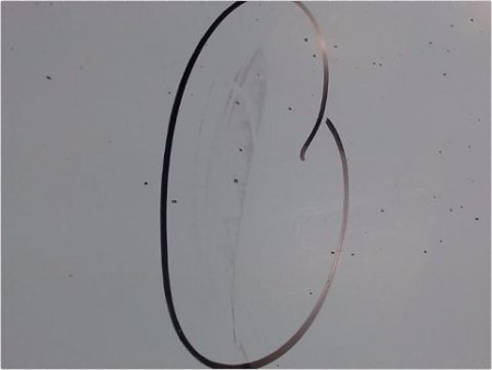 PORTE ARRIERE GAUCHE OPEL CORSA