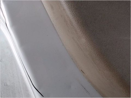 PORTE AVANT GAUCHE RENAULT FLUENCE