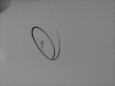 PORTE AVANT DROIT MERCEDES VANEO 2002-05