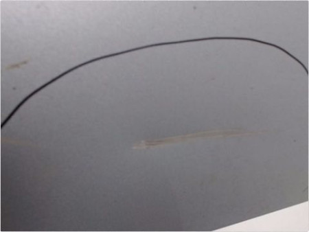 PORTE AVANT GAUCHE PEUGEOT 307