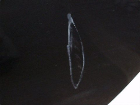 PORTE ARRIERE GAUCHE RENAULT FLUENCE