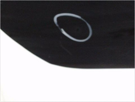 PORTE AVANT DROIT RENAULT CLIO