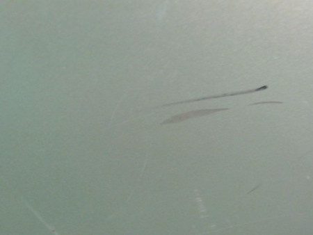 PORTE ARRIERE DROIT CITROEN C3