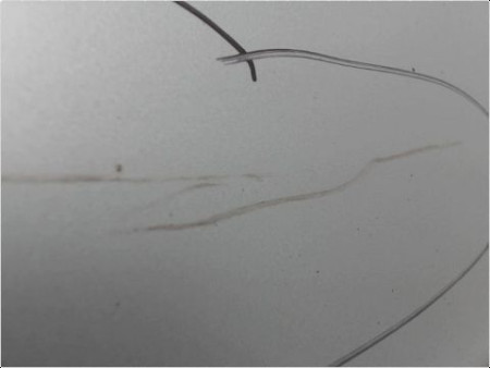 PORTE AVANT GAUCHE PEUGEOT 206 SW 02-06