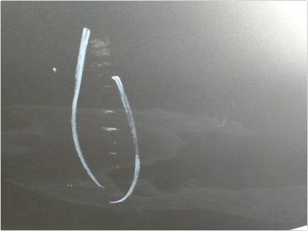 PORTE ARRIERE GAUCHE RENAULT MEGANE