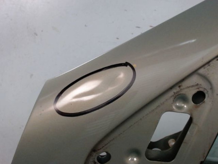 PORTE AVANT GAUCHE RENAULT CLIO