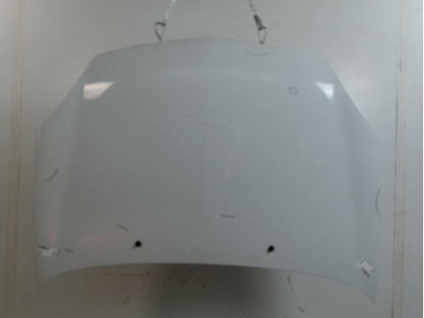 CAPOT RENAULT CLIO