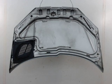 CAPOT PEUGEOT 206