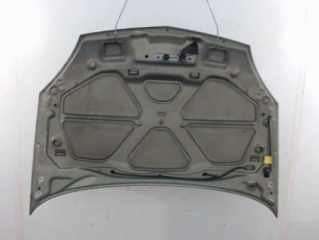 CAPOT RENAULT CLIO