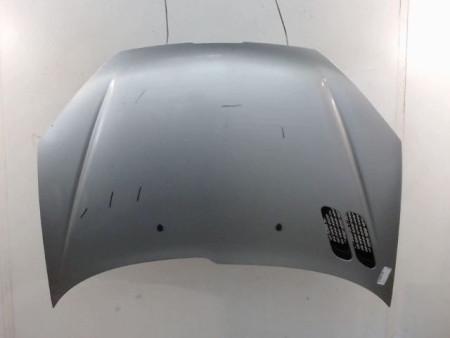 CAPOT PEUGEOT 206