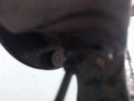 PIVOT AVANT GAUCHE FORD B-MAX