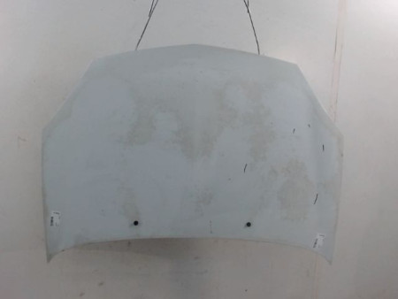 CAPOT RENAULT CLIO