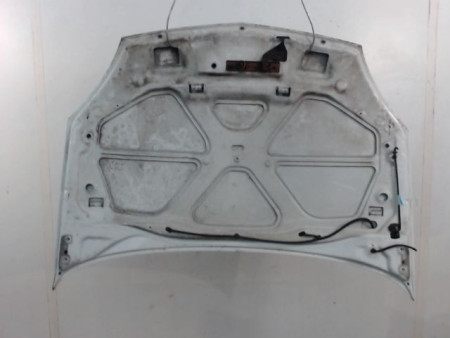 CAPOT RENAULT CLIO