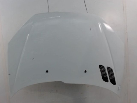CAPOT PEUGEOT 206
