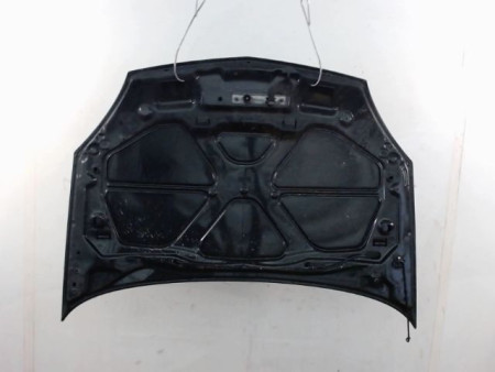 CAPOT RENAULT CLIO
