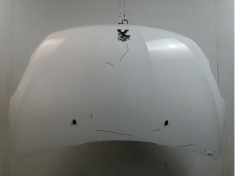 CAPOT PEUGEOT 208