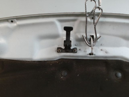 CAPOT PEUGEOT 208