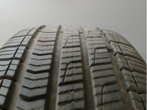 Pneu DUNLOP SPORT ALL SEASON 205 55 17 95 V