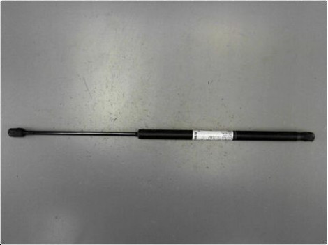 VERIN GAUCHE HAYON PEUGEOT 1007 05-10