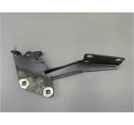 COMPAS GAUCHE CAPOT RENAULT MEGANE III 08-12