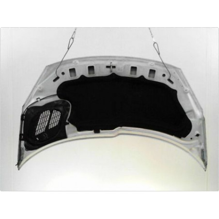CAPOT PEUGEOT 206+ 09-13