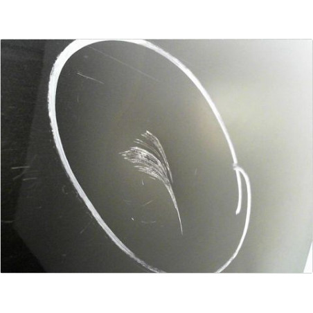 PORTE ARRIERE GAUCHE RENAULT LAGUNA III PH2 ESTATE 10-13