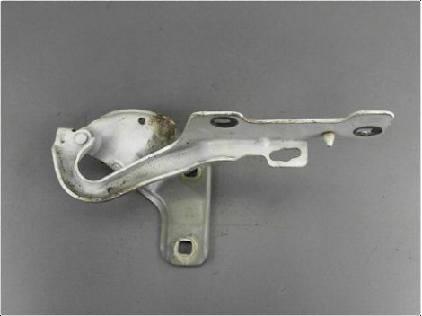 COMPAS GAUCHE CAPOT RENAULT CLIO III PH.2 09-14