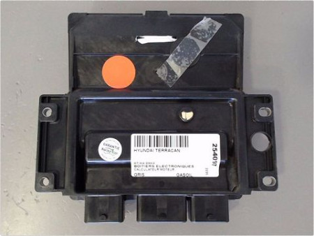 CALCULATEUR MOTEUR HYUNDAI TERRACAN